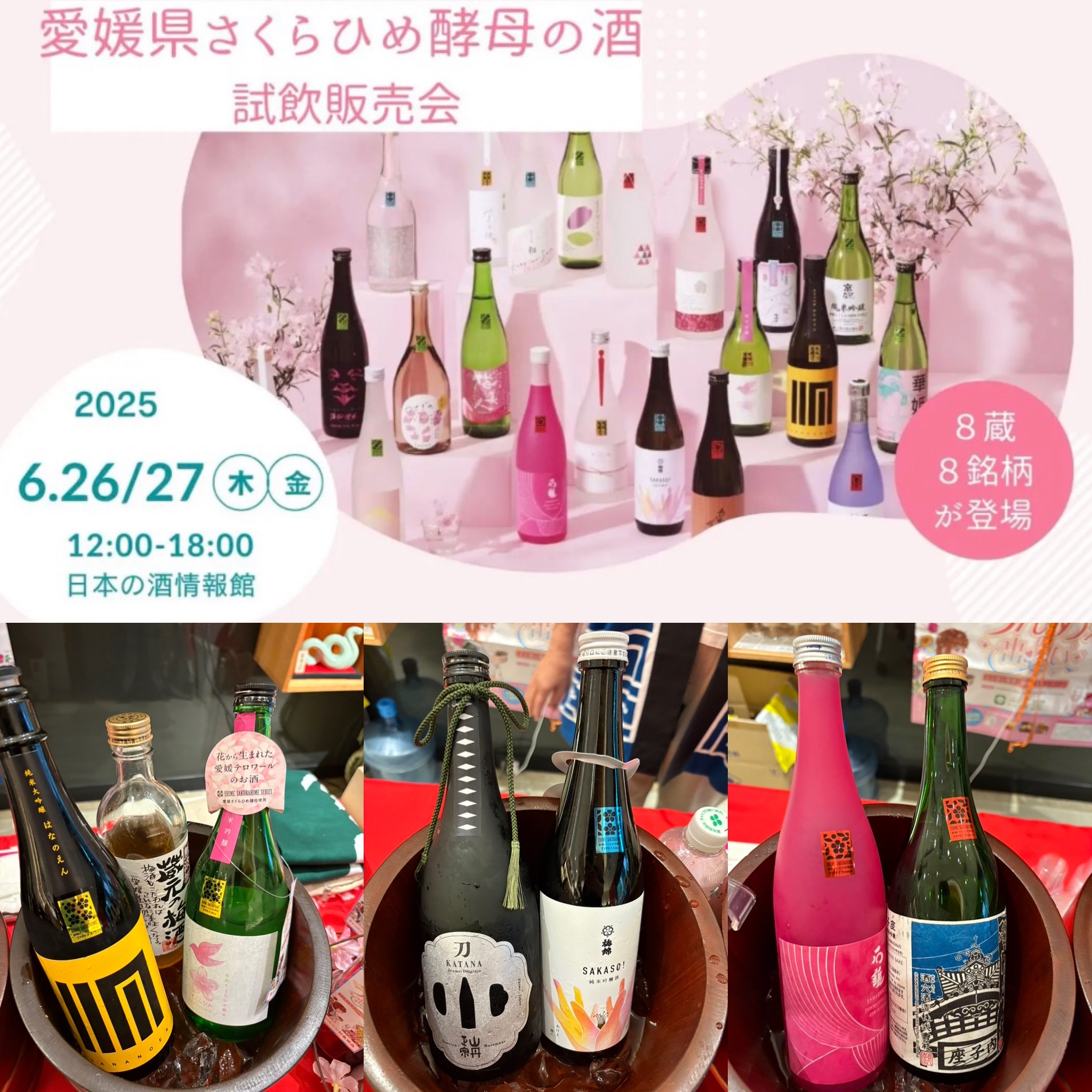 愛媛県酒造組合「愛媛さくらひめ酵母 試飲販売会」